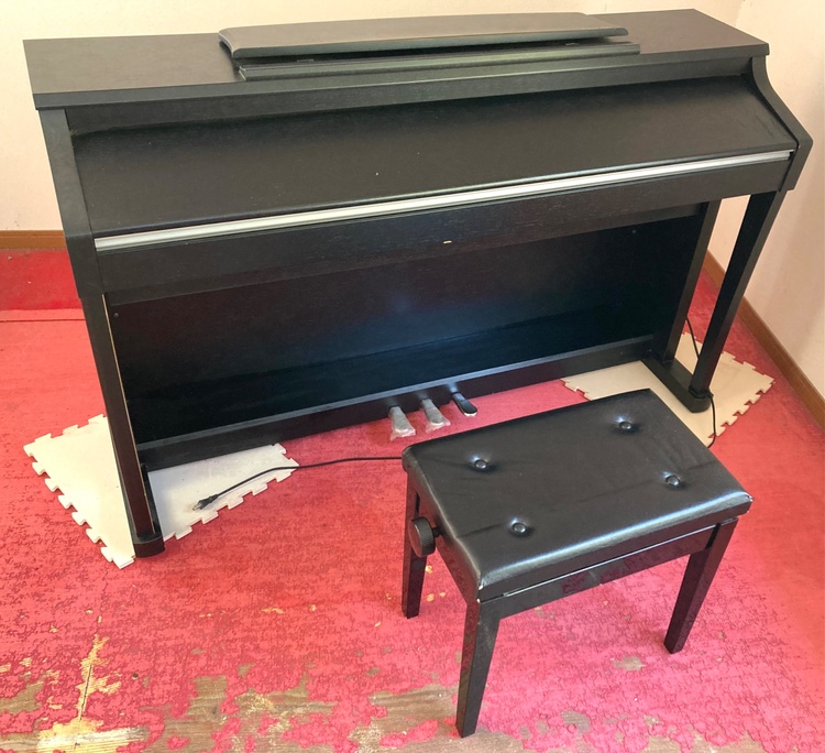 CA901（ピアノ・楽器・PA機材）の商品画像 - 査定依頼日：2026年2月22日 - 最高査定価格：5,000円