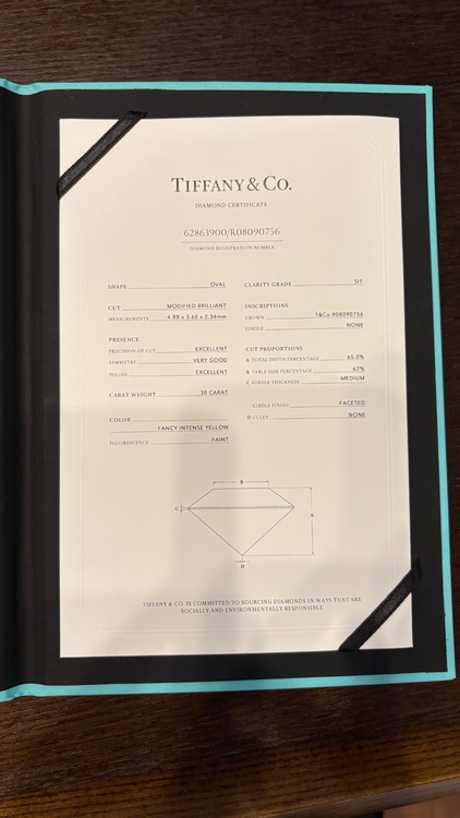 ティファニー TIFFANY＆CO（宝石）の商品画像 - 査定依頼日：2026年9月8日 - 最高査定価格：100,000円