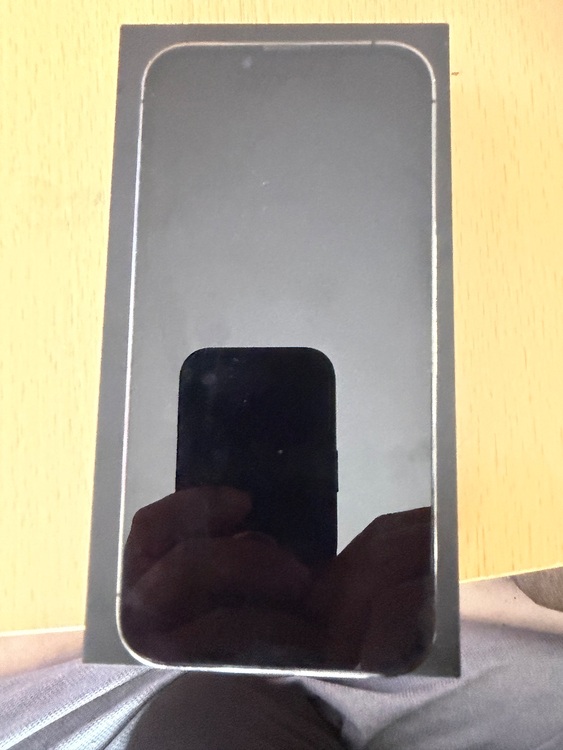 iPhone 13 Pro 256GB Softbank（スマホ）の商品画像 - 査定依頼日：2025年10月9日 - 最高査定価格：67,000円