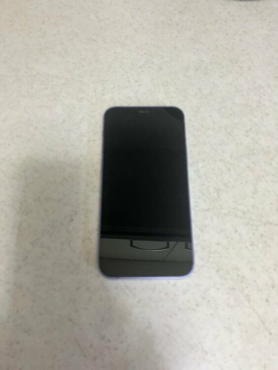 iPhone12 mini 256GB パープル（スマホ）の商品画像 - 査定依頼日：2026年6月11日 - 最高査定価格：21,000円