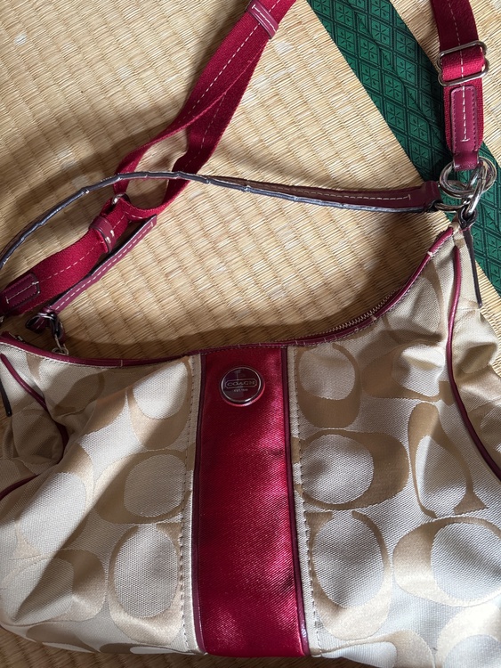 その他 コーチ （ブランドバッグ）の商品画像 - 査定依頼日：2026年4月4日 - 最高査定価格：1,000円