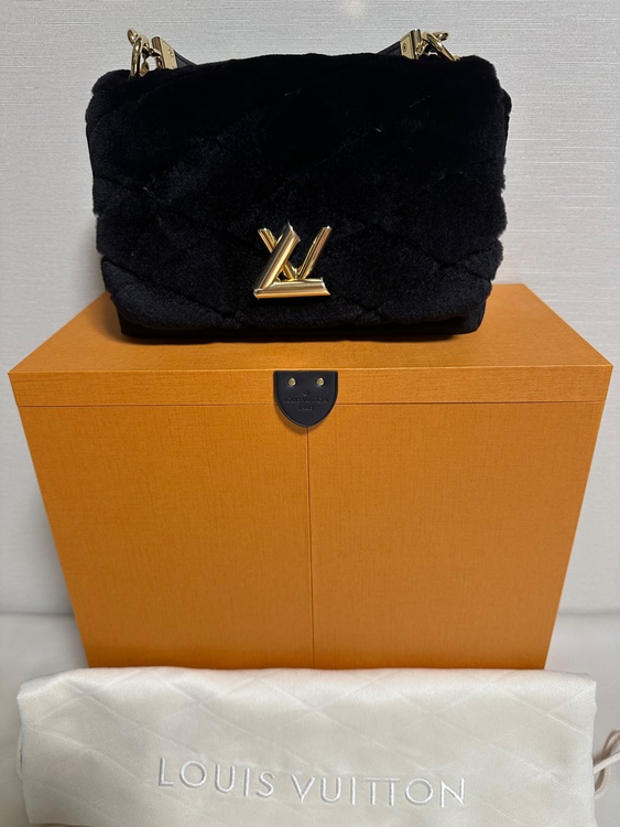 ルイヴィトン ルイヴィトン(その他) （ブランドバッグ）の商品画像 - 査定依頼日：2026年1月21日 - 最高査定価格：400,000円