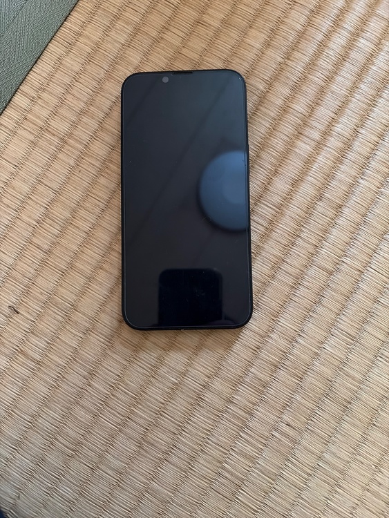 iPhone iPhone 16e 128GB Softbank（スマホ）の商品画像 - 査定依頼日：2026年9月19日 - 最高査定価格：67,000円