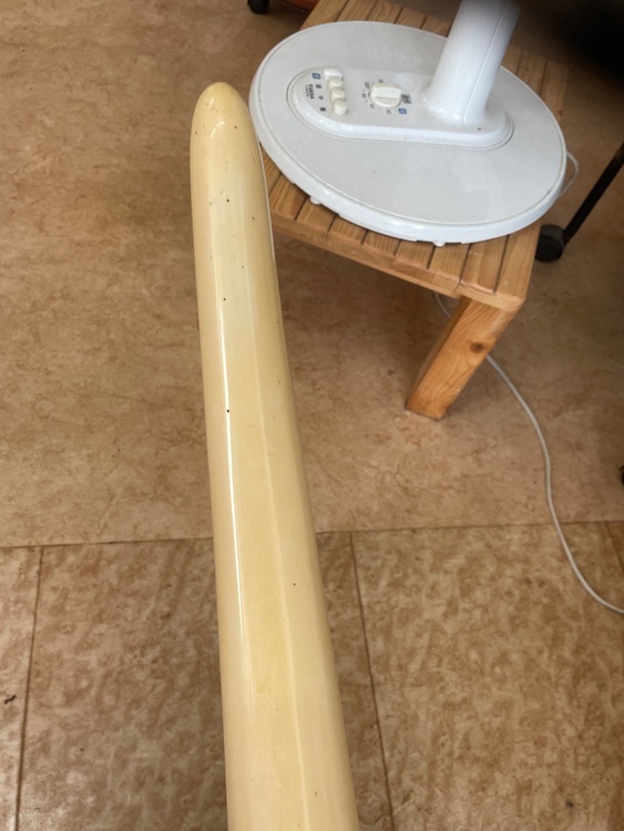 象牙　一本牙（美術品・骨董品）の商品画像 - 査定依頼日：2025年11月10日 - 最高査定価格：20,000円