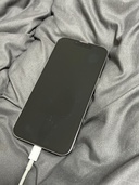 iPhone13pro（スマホ）の商品画像 - 査定依頼日：2026年4月7日 - 最高査定価格：53,000円