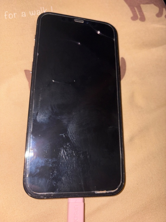 iPhone 12 Pro 256GB SIMフリー（スマホ）の商品画像 - 査定依頼日：2026年4月21日 - 最高査定価格：35,000円