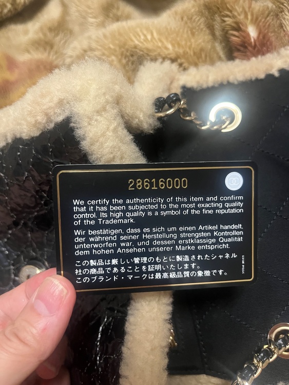 ショルダーバッグ（ブランドバッグ）の商品画像 - 査定依頼日：2026年6月29日 - 最高査定価格：400,000円