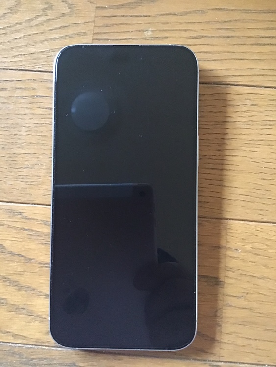 iPhone iPhone 15 Pro Max 256GB SIMフリー（スマホ）の商品画像 - 査定依頼日：2026年7月26日 - 最高査定価格：97,000円