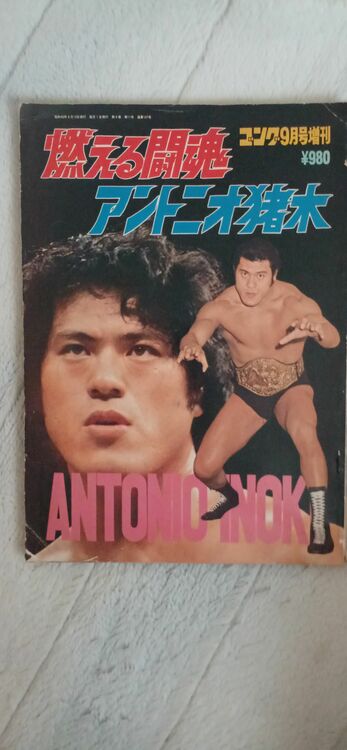 ゴング ベースボールマガジンプロレス　DELUXEプロレス　（古本）の商品画像 - 査定依頼日：2025年8月30日 - 最高査定価格：50円