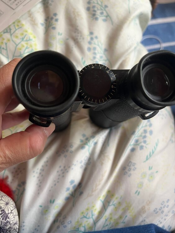 Dialut 双眼鏡（カメラ）の商品画像 - 査定依頼日：2025年5月26日 - 最高査定価格：13,000円