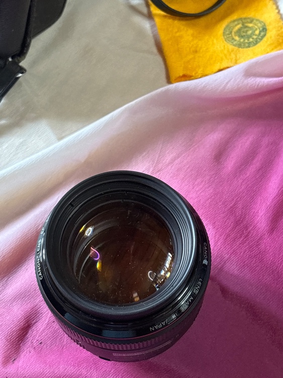 Canon lens ef 50mm f/1.0L（カメラ）の商品画像 - 査定依頼日：2026年6月15日 - 最高査定価格：200,000円