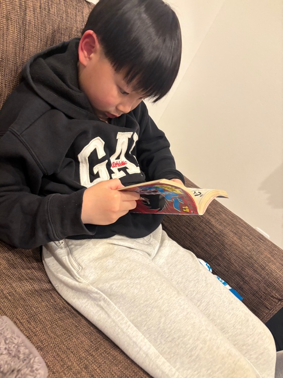 ボリード31（ブランドバッグ）の商品画像 - 査定依頼日：2026年3月19日 - 最高査定価格：800,000円