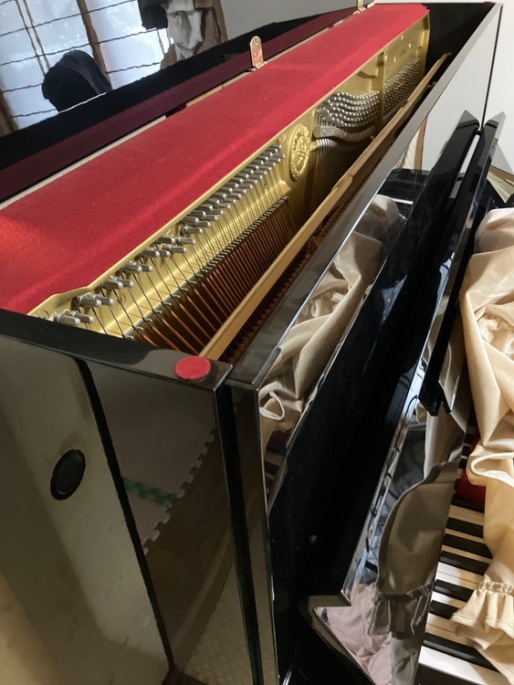 MC10A（ピアノ・楽器・PA機材）の商品画像 - 査定依頼日：2026年4月10日 - 最高査定価格：20,000円