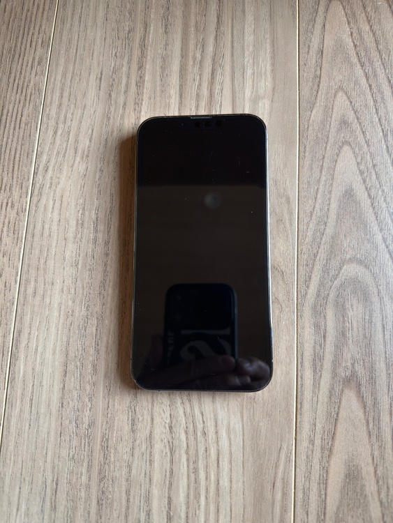 iPhone iPhone 13 Pro 256GB docomo（スマホ）の商品画像 - 査定依頼日：2026年6月9日 - 最高査定価格：54,000円