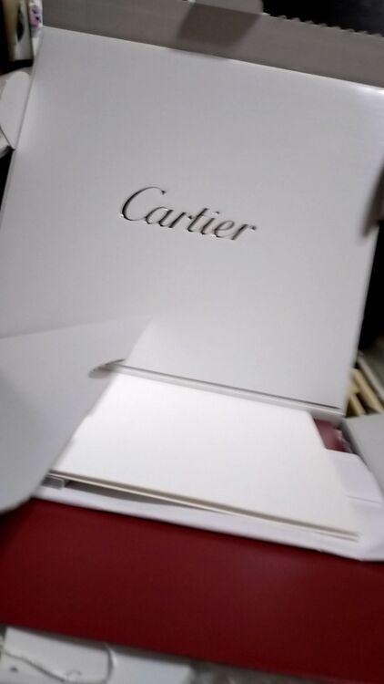 カルティエ その他 ESW00680？（高級時計）の商品画像 - 査定依頼日：2025年9月23日 - 最高査定価格：60,000円