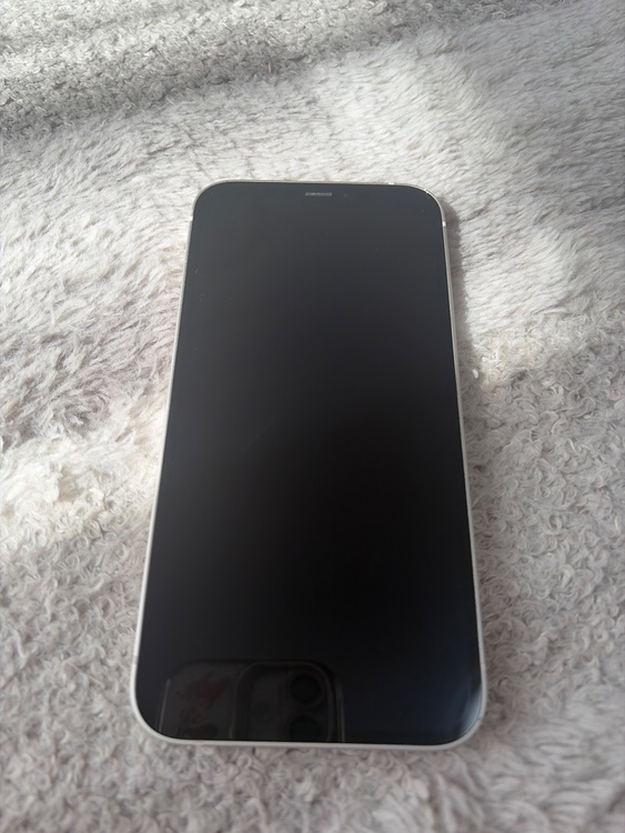 iPhone 12 256GB docomo（スマホ）の商品画像 - 査定依頼日：2026年3月11日 - 最高査定価格：29,000円