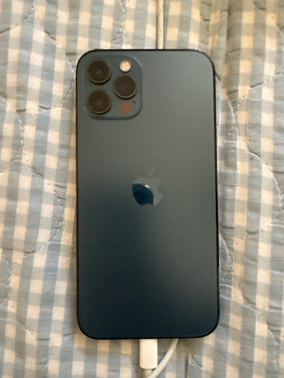 iPhone 12 Pro 256GB docomo（スマホ）の商品画像 - 査定依頼日：2026年3月29日 - 最高査定価格：31,000円