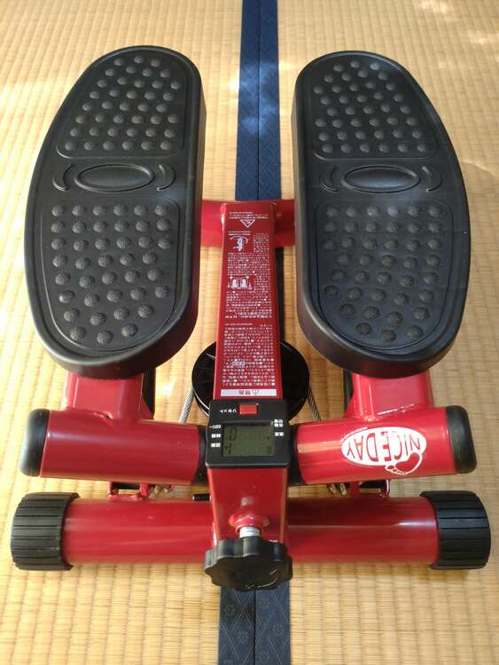 健康ステッパーナイスデイ（コスメ・美容・健康器具）の商品画像 - 査定依頼日：2025年2月20日 - 最高査定価格：110円