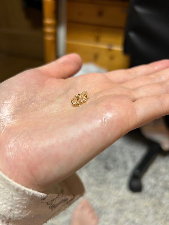 ピアス（金・貴金属）の商品画像 - 査定依頼日：2025年4月27日 - 最高査定価格：3,000円