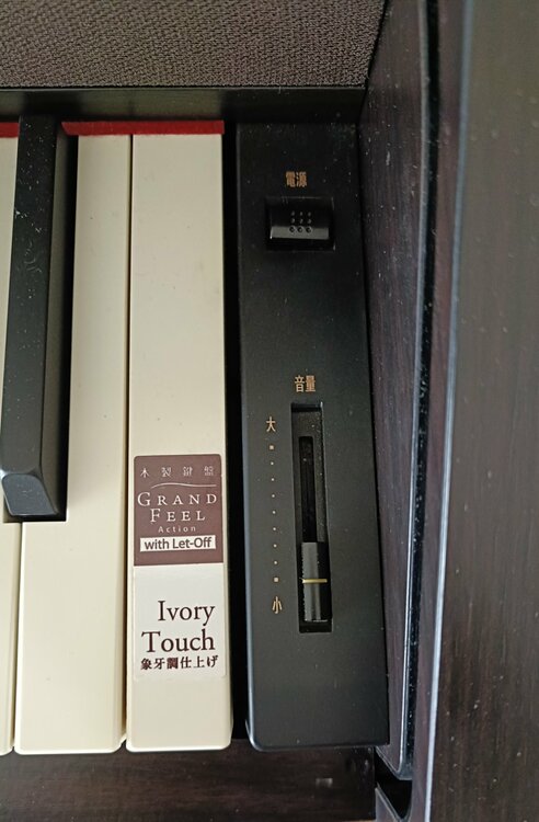 CA9500GP（ピアノ・楽器・PA機材）の商品画像 - 査定依頼日：2026年4月5日 - 最高査定価格：5,000円