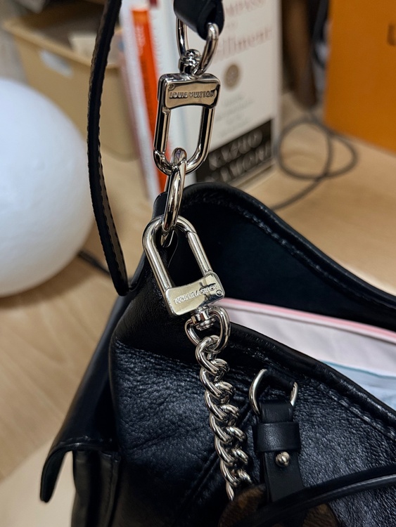 CARRY ALL PM（ブランドバッグ）の商品画像 - 査定依頼日：2026年4月20日 - 最高査定価格：370,000円