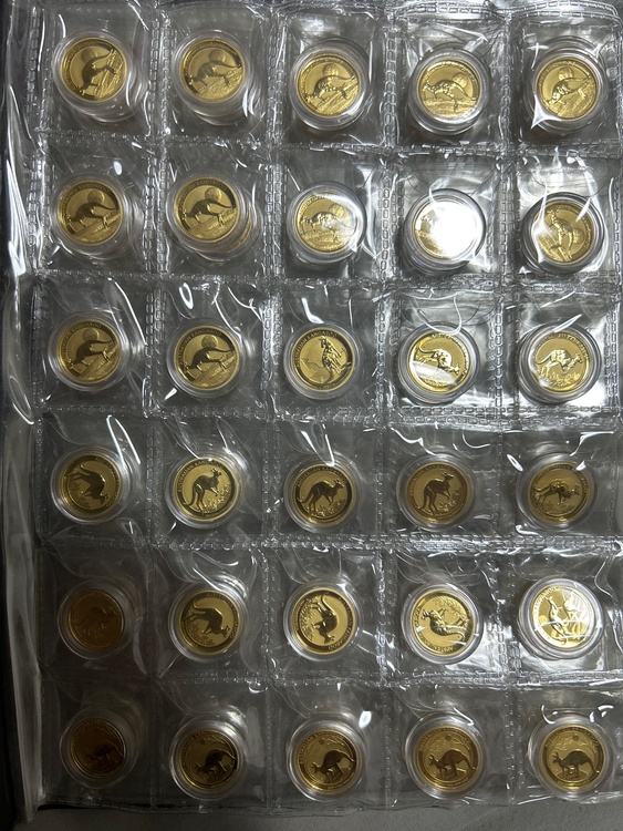 カンガルー金貨　1/10オンス（金・貴金属）の商品画像 - 査定依頼日：2025年12月8日 - 最高査定価格：2,588,000円