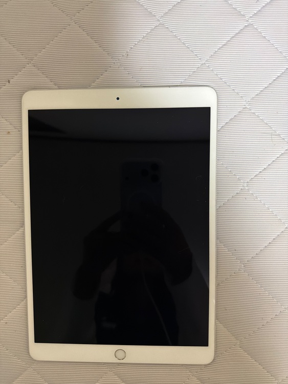 iPadPro（10.5インチ）64GB（PC・タブレット）の商品画像 - 査定依頼日：2025年10月14日 - 最高査定価格：100,000円