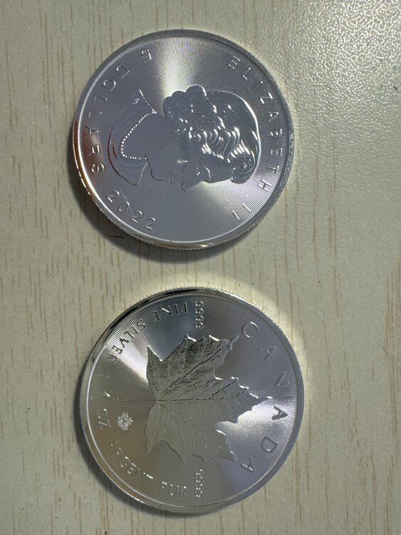 エリザベス女王　メイプル　2022（金・貴金属）の商品画像 - 査定依頼日：2024年5月11日 - 最高査定価格：80,000円