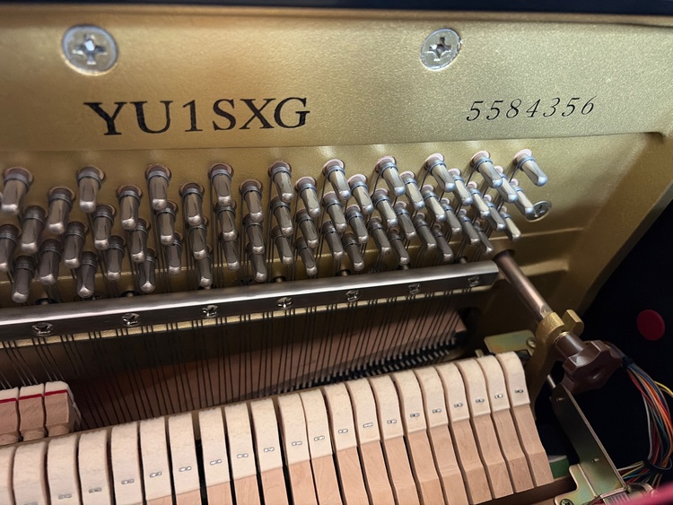 yu1sxg（ピアノ・楽器・PA機材）の商品画像 - 査定依頼日：2026年7月10日 - 最高査定価格：10,000円