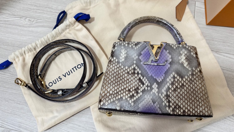 カプシーヌミニ（ブランドバッグ）の商品画像 - 査定依頼日：2026年3月29日 - 最高査定価格：550,000円