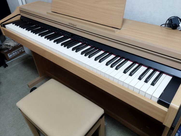 RP-501（ピアノ・楽器・PA機材）の商品画像 - 査定依頼日：2025年7月30日 - 最高査定価格：5,000円