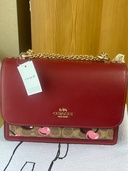 その他 コーチ（ブランドバッグ）の商品画像 - 査定依頼日：2026年7月5日 - 最高査定価格：10,000円