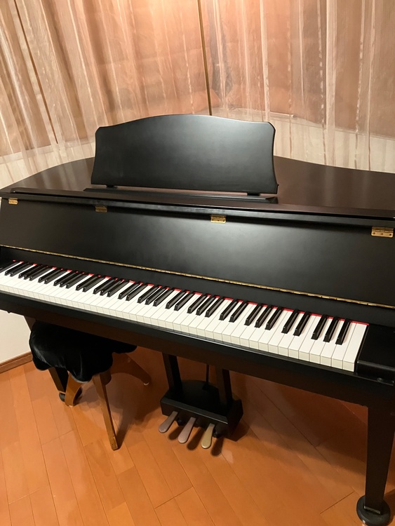 グランタッチ DGP-1（ピアノ・楽器・PA機材）の商品画像 - 査定依頼日：2026年5月23日 - 最高査定価格：1,500円