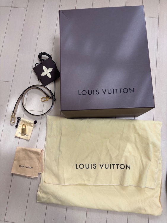 ルイヴィトン ルイヴィトン(その他) （ブランドバッグ）の商品画像 - 査定依頼日：2025年11月6日 - 最高査定価格：110,000円