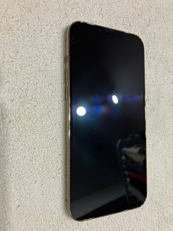 iPhone 13 Pro Max 1TB SIMフリー（スマホ）の商品画像 - 査定依頼日：2026年4月2日 - 最高査定価格：70,000円