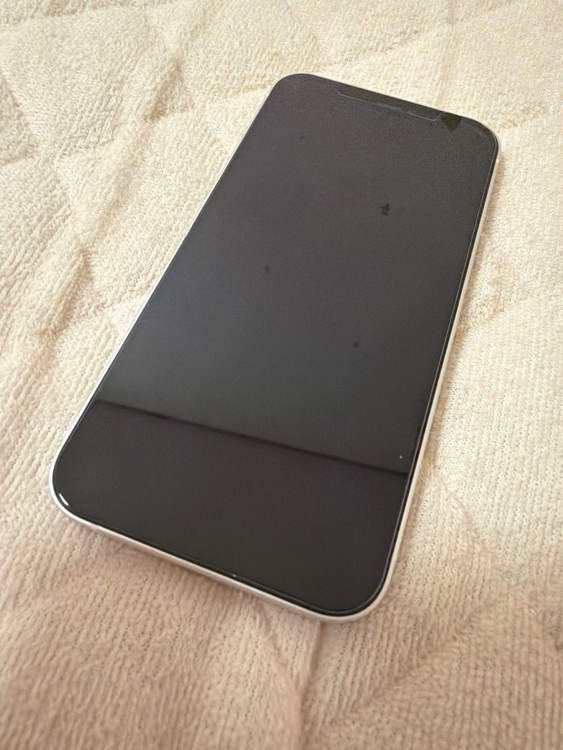iPhone iPhone 12 256GB au（スマホ）の商品画像 - 査定依頼日：2026年7月14日 - 最高査定価格：24,000円
