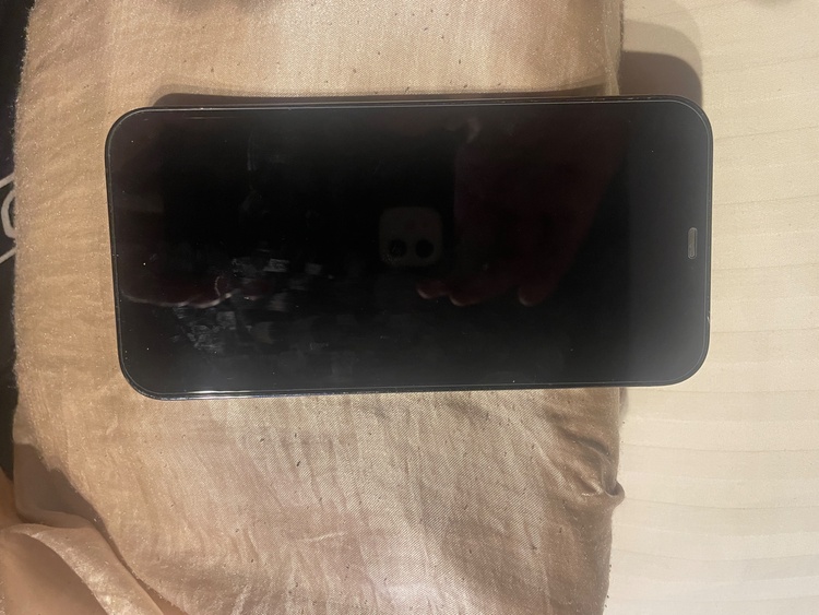 iPhone 12 Pro Max 128GB docomo（スマホ）の商品画像 - 査定依頼日：2026年5月17日 - 最高査定価格：41,000円