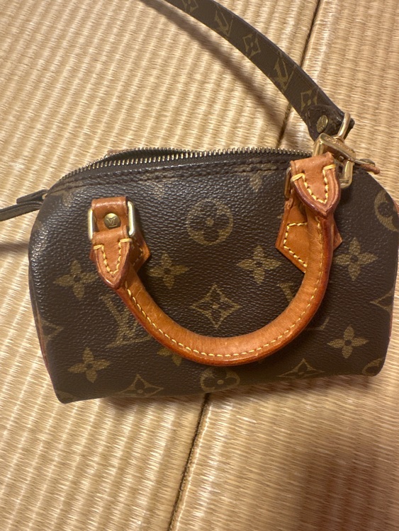 ルイヴィトン スピーディー （ブランドバッグ）の商品画像 - 査定依頼日：2025年10月7日 - 最高査定価格：100,000円