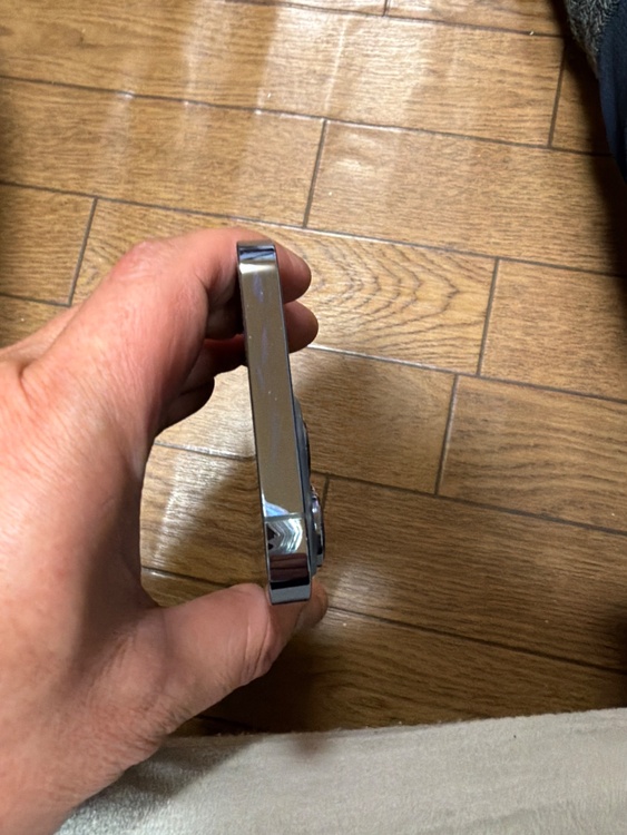 iPhone 13 Pro 256GB Softbank（スマホ）の商品画像 - 査定依頼日：2026年1月23日 - 最高査定価格：53,000円