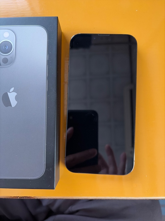 iPhone 13 Pro 256GB docomo（スマホ）の商品画像 - 査定依頼日：2026年4月6日 - 最高査定価格：49,000円