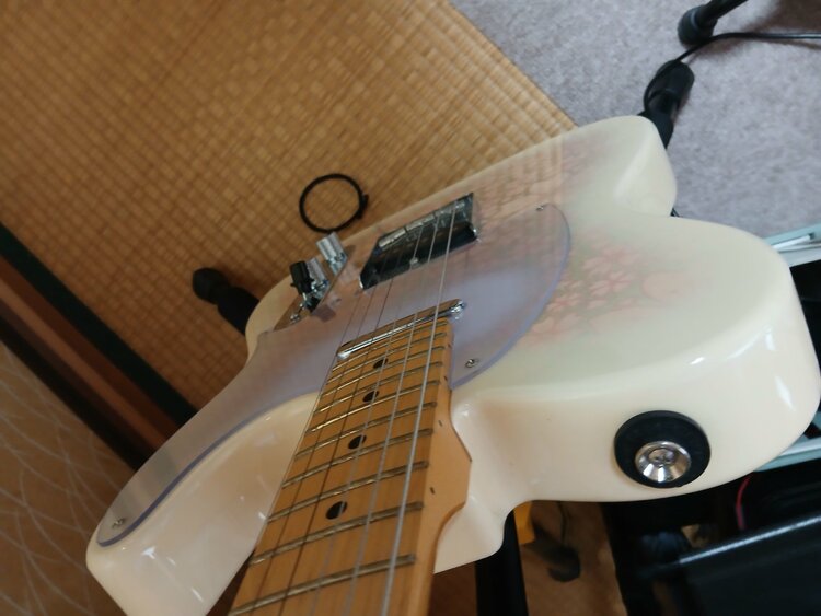 Tokai ate 100M サクラ柄（ピアノ・楽器・PA機材）の商品画像 - 査定依頼日：2025年12月21日 - 最高査定価格：60,000円