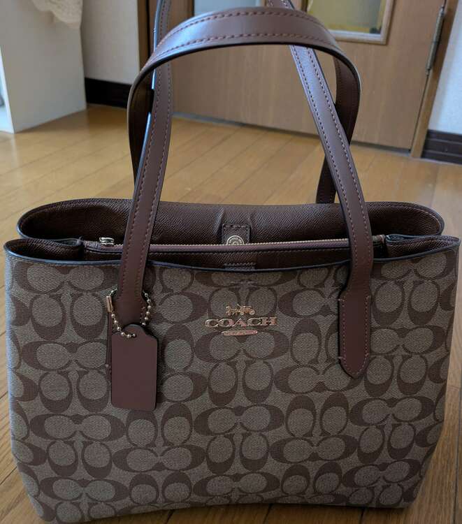 その他 コーチ （ブランドバッグ）の商品画像 - 査定依頼日：2025年3月7日 - 最高査定価格：3,000円