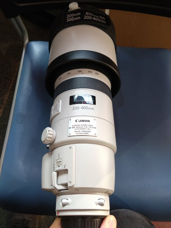 EF200-400mm F4L IS USM エクステンダー 1.4×（カメラ）の商品画像 - 査定依頼日：2026年7月27日 - 最高査定価格：460,000円