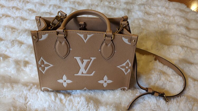 ルイヴィトン ルイヴィトン(その他) （ブランドバッグ）の商品画像 - 査定依頼日：2026年2月17日 - 最高査定価格：320,000円