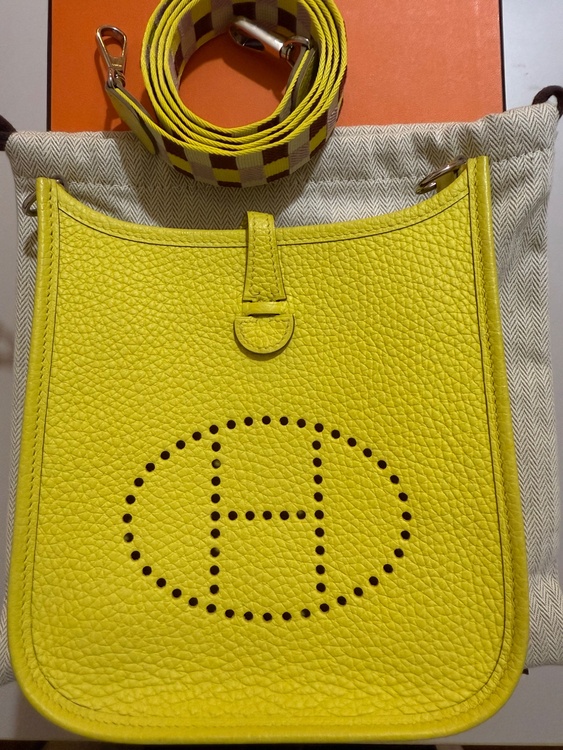 エブリンTPM アマゾーヌ　ライム　シルバー金具（ブランドバッグ）の商品画像 - 査定依頼日：2026年4月8日 - 最高査定価格：320,000円