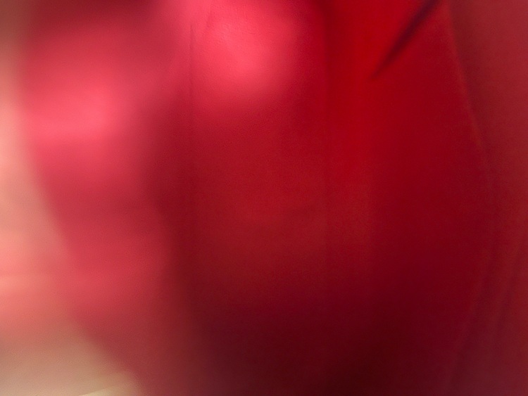 ルイヴィトン　マルチカラーバック（ブランドバッグ）の商品画像 - 査定依頼日：2025年10月10日 - 最高査定価格：100,000円