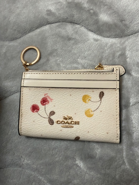 カードケース（ブランド財布・小物）の商品画像 - 査定依頼日：2026年1月26日 - 最高査定価格：1,500円