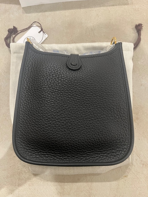 エヴリン TPM（ブランドバッグ）の商品画像 - 査定依頼日：2026年8月10日 - 最高査定価格：430,000円