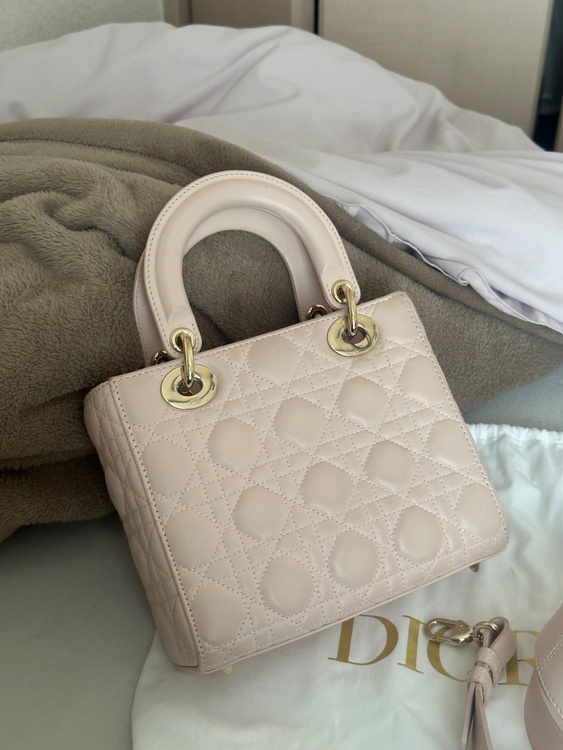 レディディオール（ブランドバッグ）の商品画像 - 査定依頼日：2026年2月6日 - 最高査定価格：250,000円