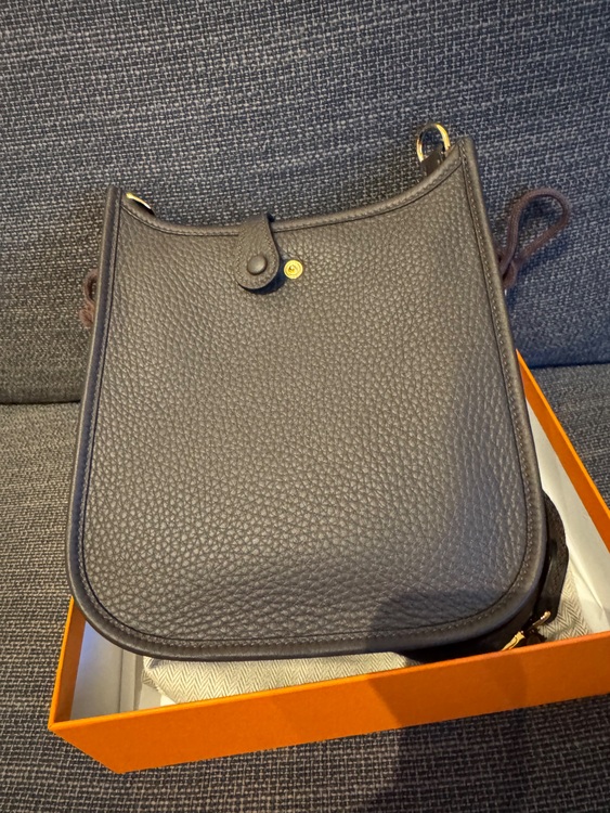 ミニエブリン（ブランドバッグ）の商品画像 - 査定依頼日：2025年8月19日 - 最高査定価格：360,000円